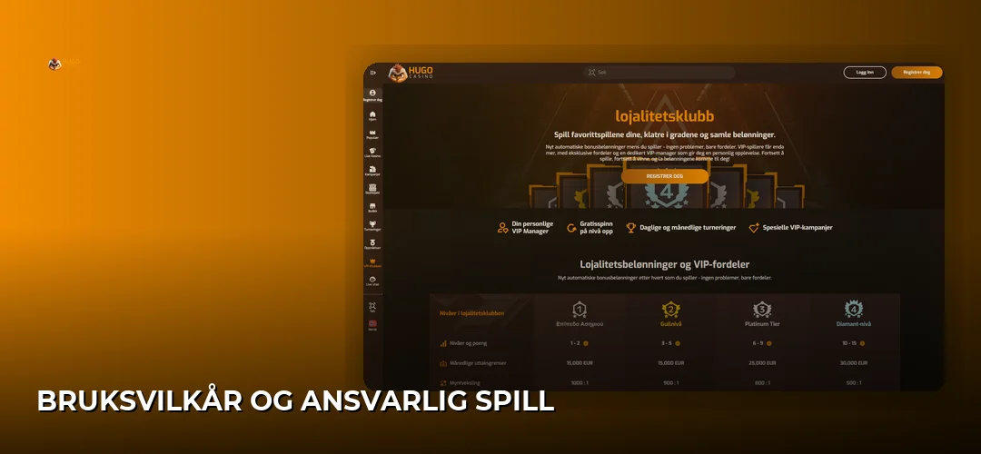 Bruksvilkår og ansvarlig spill
